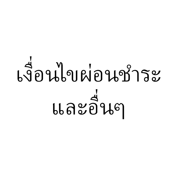 เงื่อนไขการผ่อนชำระอื่นๆ